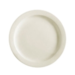 9.75" Ceramic Dinner Plate