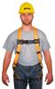 Harness w/ mating-buckle legs Universal