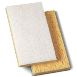 Kitchen Sponge