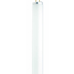 24 inch Medium Bi-Pin Base Cool White Fluorescent Tube